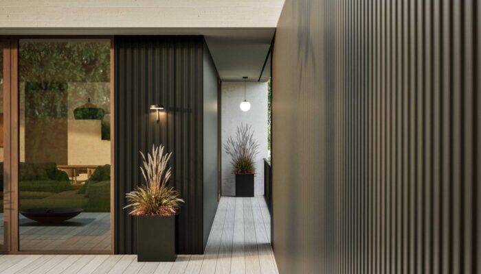 2 Landscape Fluffy Plants Evening