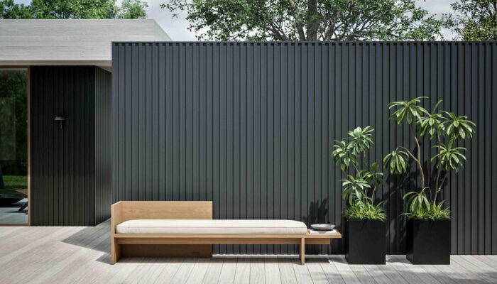 3 Landscape Tropical Plants